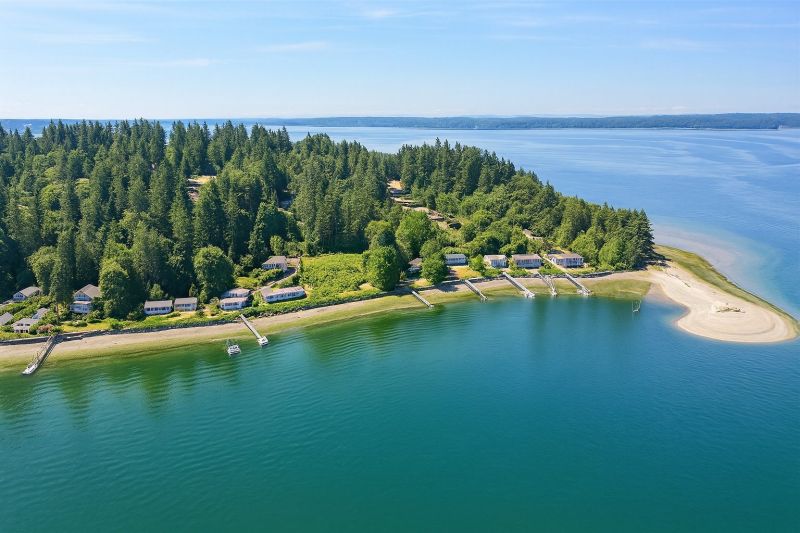 Lakefront Property Clearing