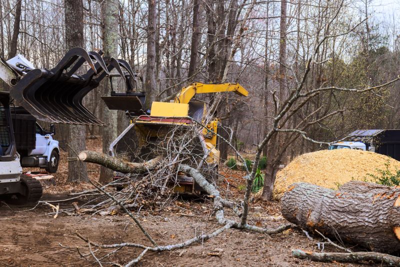 Tree Removal Machinery