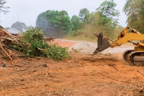 Cost of Ground Clearing in Anderson
