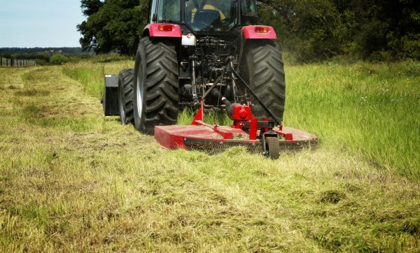 Cost of Brush Clearing Service in Anderson
