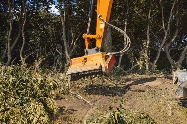 Cost of Brush Removal Service in Anderson