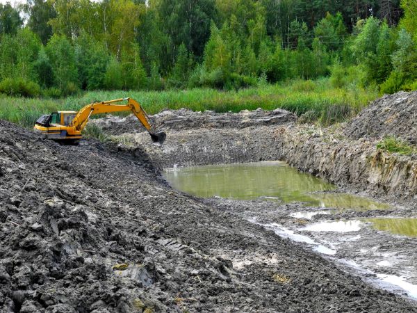 Lake Lot Clearing in Anderson
