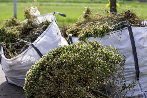 Cost of Bushes Clearing in Anderson